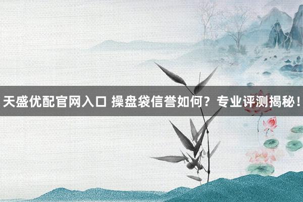 天盛优配官网入口 操盘袋信誉如何？专业评测揭秘！