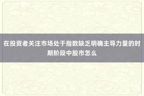 在投资者关注市场处于指数缺乏明确主导力量的时期阶段中股市怎么