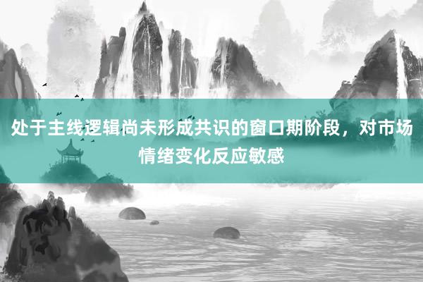 处于主线逻辑尚未形成共识的窗口期阶段，对市场情绪变化反应敏感