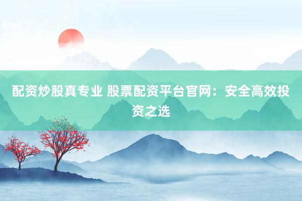 配资炒股真专业 股票配资平台官网：安全高效投资之选