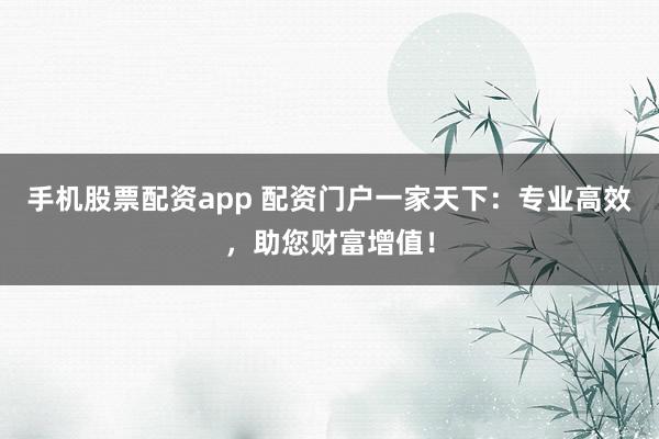手机股票配资app 配资门户一家天下：专业高效，助您财富增值！