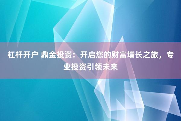 杠杆开户 鼎金投资：开启您的财富增长之旅，专业投资引领未来