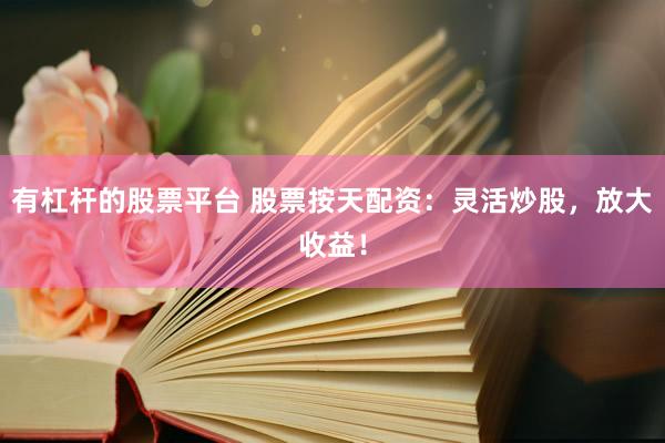 有杠杆的股票平台 股票按天配资：灵活炒股，放大收益！